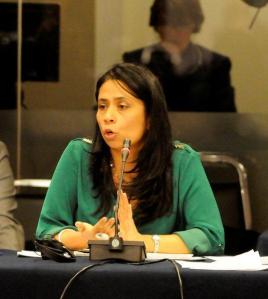 Katya Salazar, DPLF. Reunion especial del Consejo Permanente, 7 de marzo de 2013.